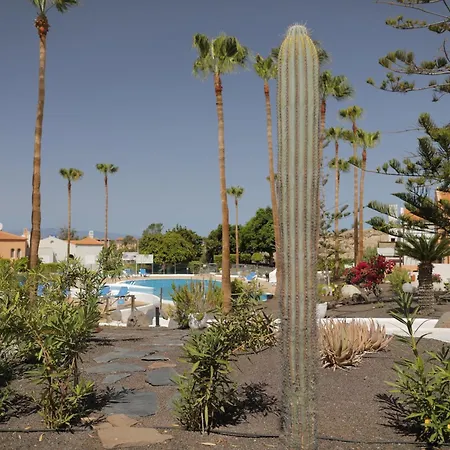 Almacanarias.holidays Alma 2 아파트 아데제